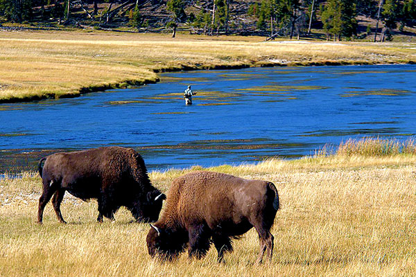 Montana's Yellowstone Country ✯ The Peak of Adventure